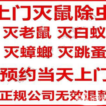 南昌白蚁防治中心，南昌工厂宿舍灭跳蚤，仓库灭跳蚤