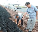 土工格室塑料土工格室价格植草格室网土工格室批发_土工格室厂家图片