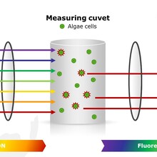 ALGcontrol在线荧光藻类分类仪