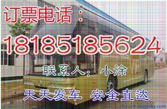 客车从晋江到铜仁专线客车+卧铺客运客车图片4