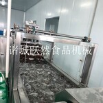 全自动净菜清洗加工设备果蔬清洗机气泡冲洗连续式清洗风干系列