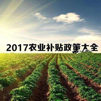 武山县做标书/公司做标书24小时服务