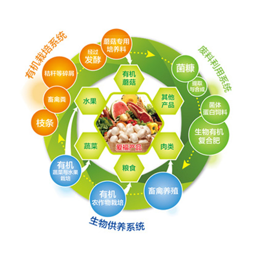 张家口做项目可行性报告-研究报告