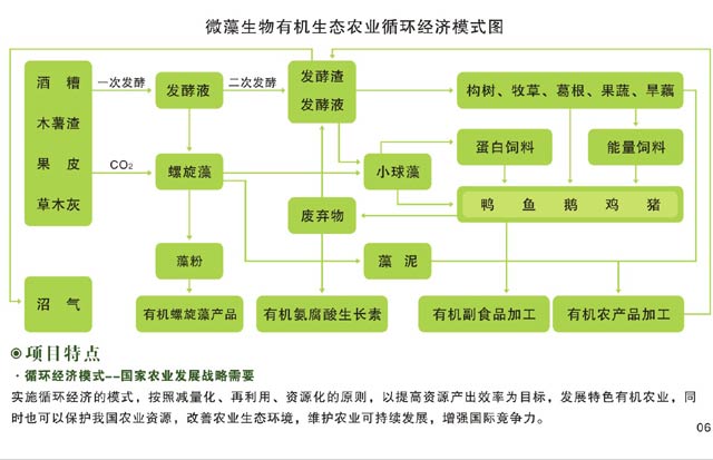 宁化县做项目申请报告-立项申请报告的公司