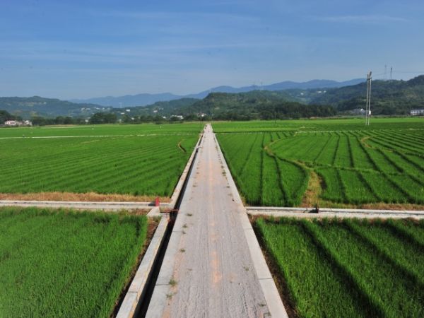 吐鲁番做项目申请报告/项目核准申请报告