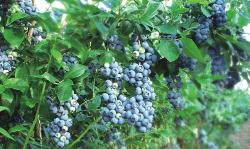 海晏县做节能评估报告-节能报告节能