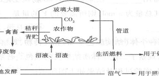 图片0