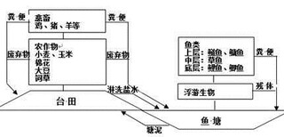 图片0