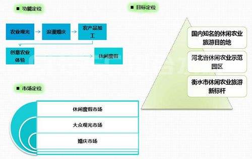 洪雅县写可行性报告-写可行性报告的公司