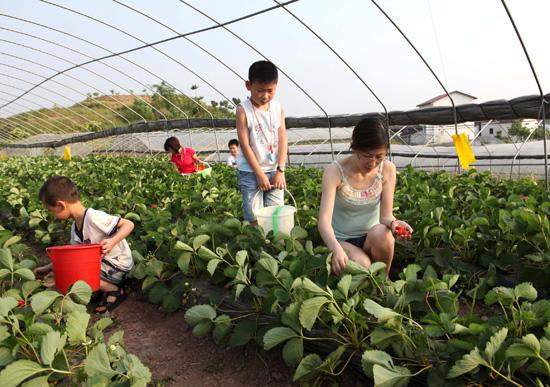 樟树市做项目可行性报告-研究报告