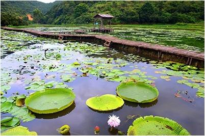 田阳县写标书/做标书