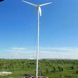汉沽小型风力发电机/96v图片1