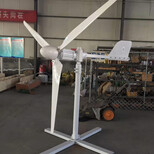 六安自制风力发电机风叶/12v图片3