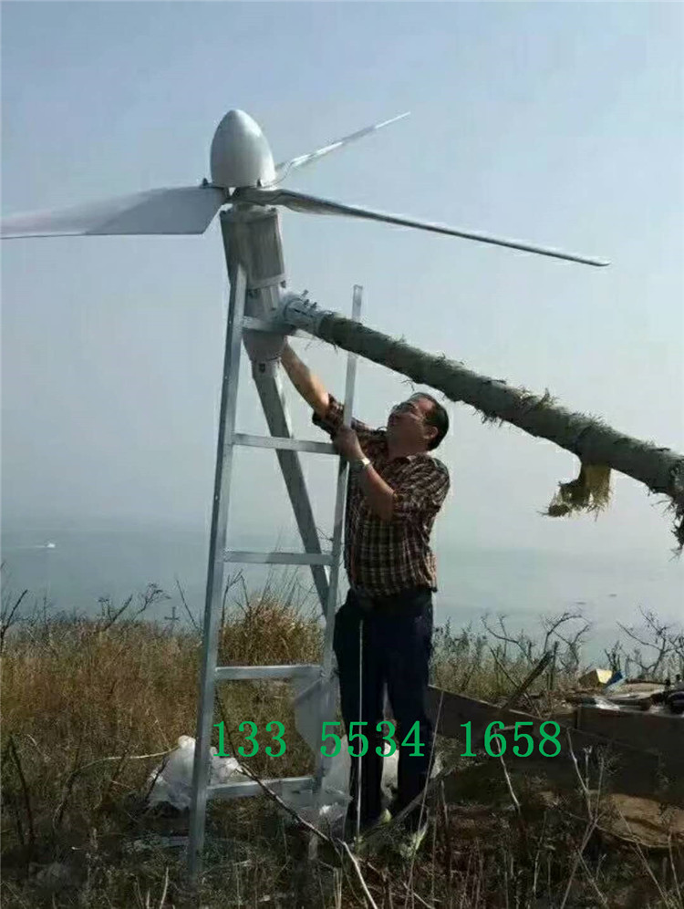 双鸭山风力发电机3000w-发电机厂家排名