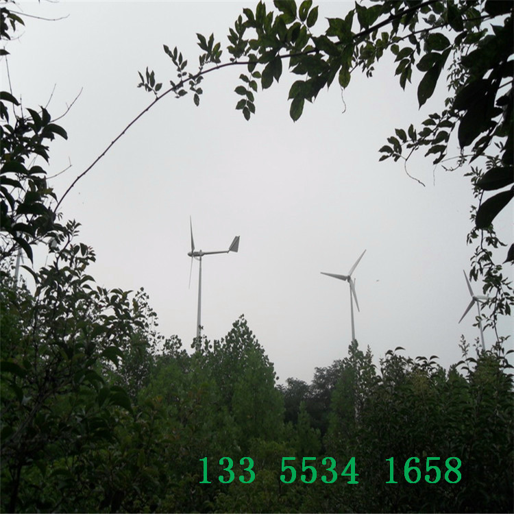 宣武并网小型风力发电机-节能型   