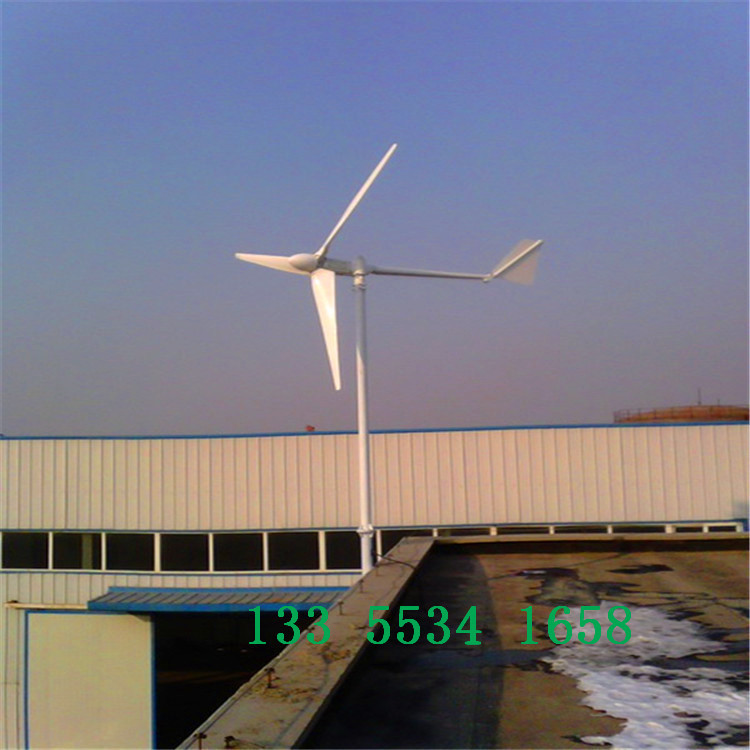漳州冬天取暖用风力发电机-来厂参观