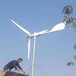 海西养殖场用风力发电机-诚信经营低速永磁
