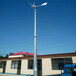 神农架自制风力发电机-发电机图片