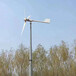 双河永磁离网风力发电机/抗风能力强