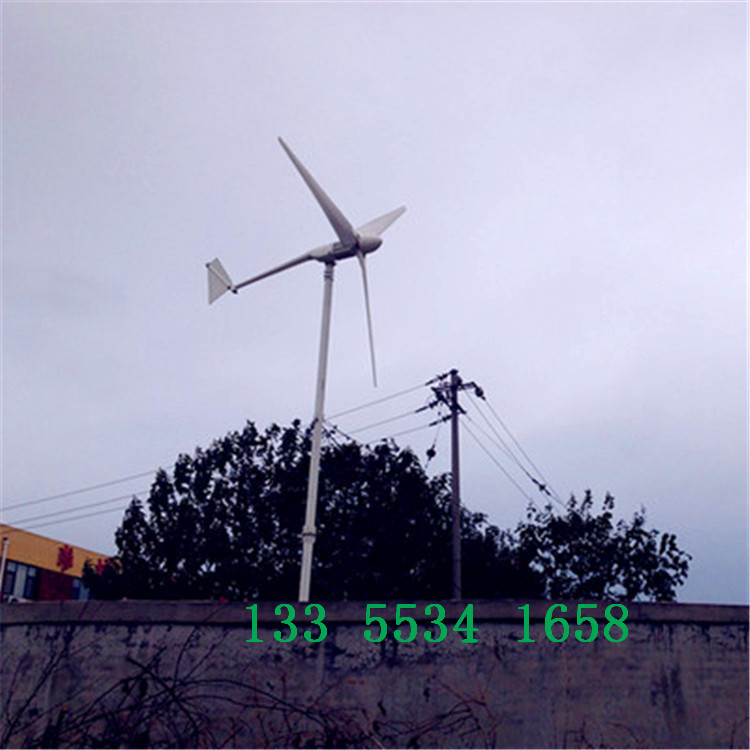 林芝并网型微型风力发电/风力发电机 12v