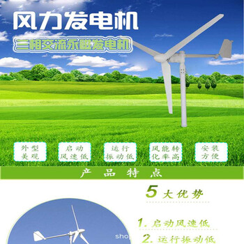 澎湖县微风启动风力发电机/发电率高