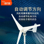 风力发电机逆变器新能源（2000w）