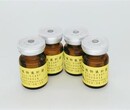 Dechlorospirillumanomalous百欧博伟生物ATCCBAA-1729图片