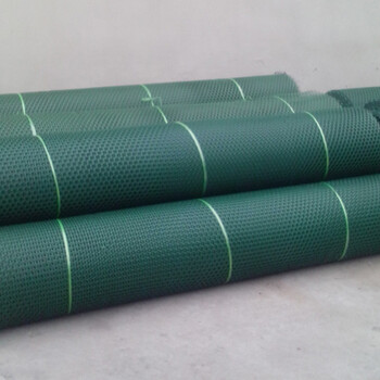 厂家批发护坡绿化用三维植被网em3em4塑料三维网生产价格