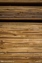 青岛港木材能进口吗？热带木进口报关报检关税多少？