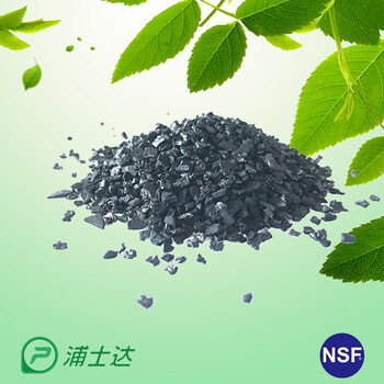 浦士达NSF认证净水炭净水椰壳炭椰壳活性炭系列