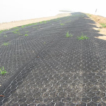 铅丝石笼网质量检验标准铅丝笼价格影响因素