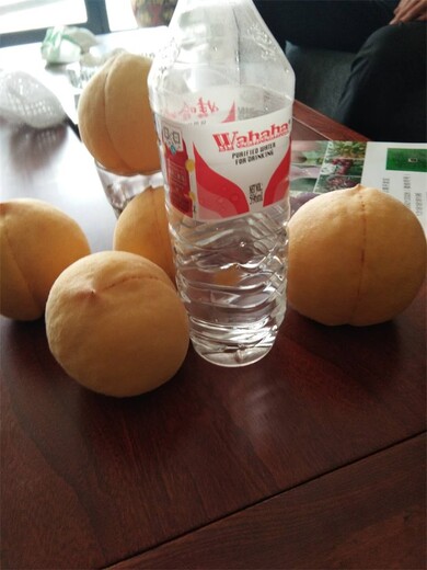 福麗福秀樹苗求購的功效與作用
