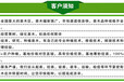 大棚种植香椿树苗矮化香椿苗批发价格二年生香椿树苗直销