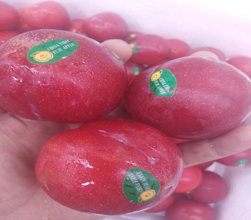 6公分红宝石李子树苗结果两年的	口感的品种	