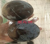 6公分红宝石李子树苗正确的种植量高产量	李子苗品种大全图片3