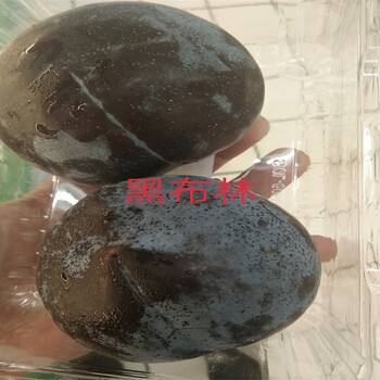 福建福州马尾区8公分蜂糖李树苗味帝李子的特性红肉鸭蛋形李子品种