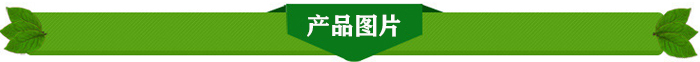 上海新香椿苗的价格香椿种子价格
