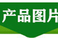 广东香椿苗种植推广中心香椿种子价格