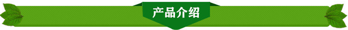 北京香椿苗一棵2元绿香椿苗基地