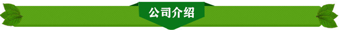 内蒙古香椿苗批发价格香椿苗栽培管理