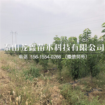 5公分車?yán)遄訕涿?5公分車?yán)遄訕涿鐑r格低.