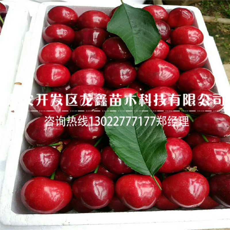 哪里有5公分車?yán)遄訕涿缍嗌馘X.5公分車?yán)遄訕涿缍嗌馘X發(fā)貨