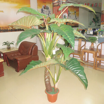 仿真植物盆景，植物盆景，綠植盆景，小型仿真植物盆景