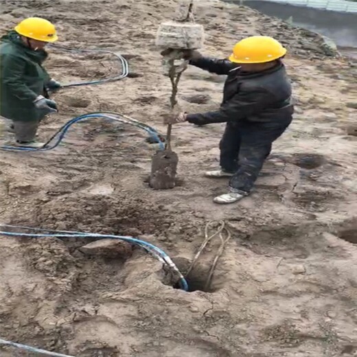 苏州破石头机器矿山开采大型劈裂棒-三年质保
