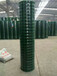 厂家直销四川果园圈地护栏网养殖荷兰网绿色铁丝网围栏