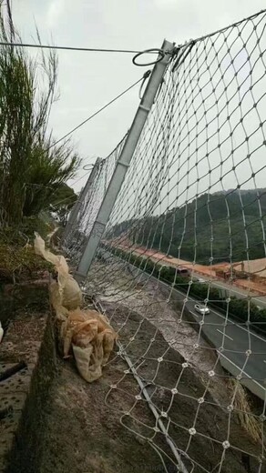 四川成都边坡防护网系列生产厂家防落石护坡网绿化钢丝绳网