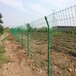 农场圈地绿色铁丝网圈地护栏网钢丝网成都生产厂家