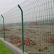 四川公路护栏网销售厂家公路隔离铁丝网围栏网