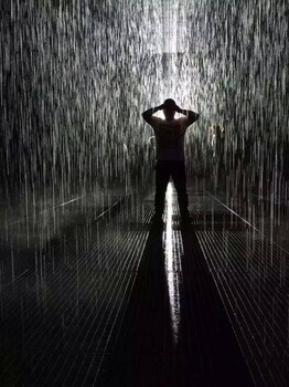 定海大型神奇雨屋，大气机械大象出租租赁