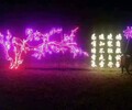 神農架大型唯美浪漫燈光展，體驗科技展VR低價出租租賃